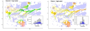 Identifying future protection gaps in Amazon floodplains: a dual-season forecasted distribution of the world’s largest scaled freshwater fish