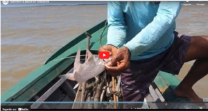 Film Maintaining fishing in the Amazon